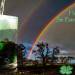 happy st patricks day, four leaf clover, shamrock, rainbows, belfast, ireland, 