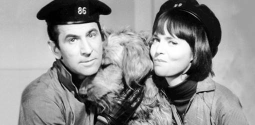 don adams 1966, barbara feldon, 1960s television series, get smart agent 86, get smart agent 99, dog fang, 1960s tv sitcoms