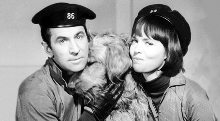 don adams 1966, barbara feldon, 1960s television series, get smart agent 86, get smart agent 99, dog fang, 1960s tv sitcoms