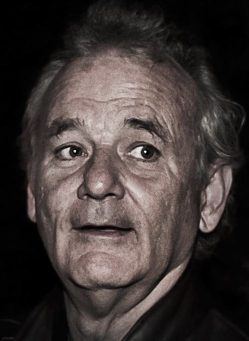 bill murray 2010, american actor, comedian, older, senior citizen