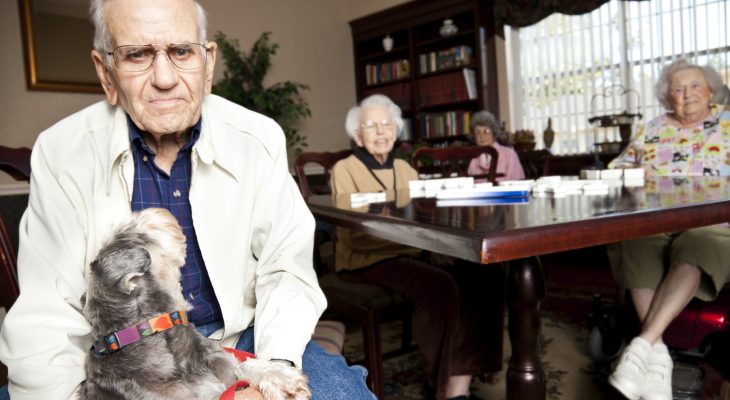 pets are good for seniors, niagara falls humane society, seniors, senior with a pet, pet visitation program, senior facilities, niagara falls senior facilities, benefits of having a pet for seniors