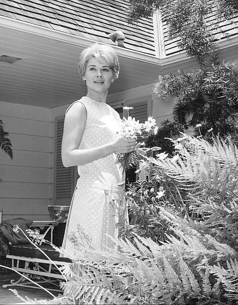 hope lange 1968, american actress, 1960s television series, 1960s tv sitcoms, the ghost and mrs muir