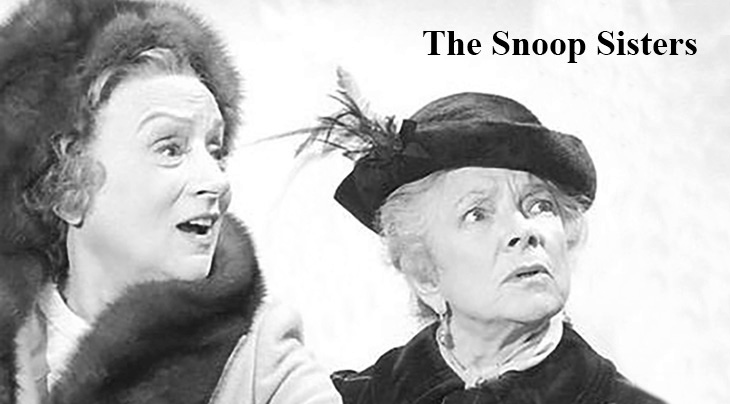 the snoop sisters, 1970s television series, american actresses, helen hayes, mildred natwick, boomer tv trivia, baby boomers, elderly sisters television shows, older women movie stars, 