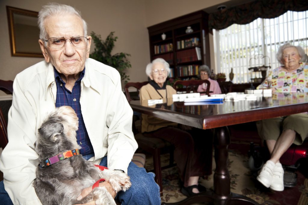 dogs for seniors, elderly adults, older adults, retirement residences, seniors apartment buildings