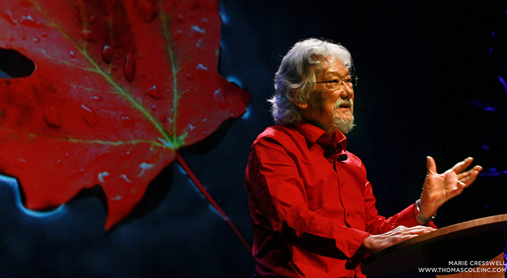 david suzuki onstage, canadian scientist, cbc tv host, the nature of things host, david suzuki older