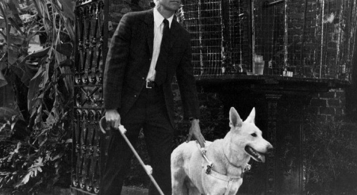 longstreet tv show, 1971 tv series, 1972 television show, actor james franciscus, mike longstreet, blind detective, guide dog pax, seeing eye dog, animal actor