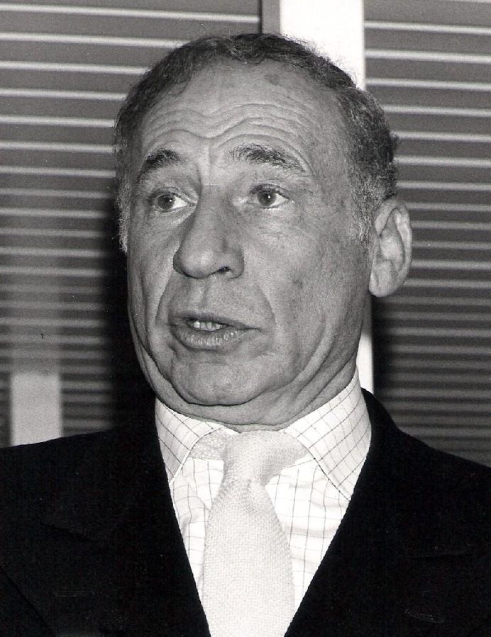mel brooks 1984, american actor, comedian, academy award, grammy award, tony award, emmy award, melvin kaminsky, brooklyn, new york, young, old, nonagenarian, senior citizen, sid caesar, wwii, your show of shows, carl reiner, best friend, nineties, anxiety attacks, depression, wife, married, florence baum, daughter stephanie brooks, sons, nicholas brooks, edward brooks, separated, divorced, anne bancroft, 2000 year old man, get smart, the producers, gene wilder, the twelve chairs, blazing saddles, madeline kahn, harvey korman, young frankenstein, cloris leachman, marty feldman, dick van patten, high anxiety, max brooks, sons, children, daughters, grandchildren, 50+, dom deluise, dracula, dead and loving it, broadway musical, octogenarian, septuagenarian