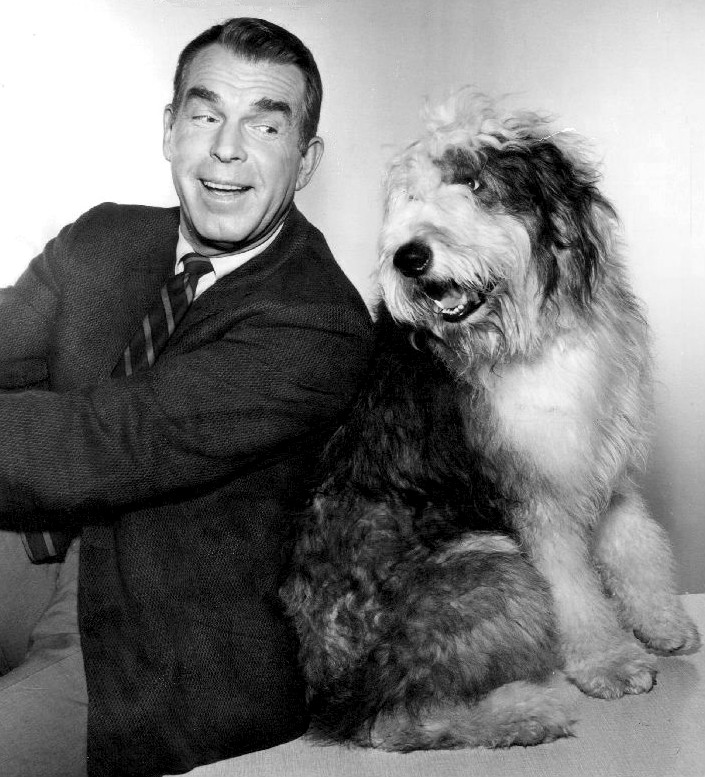 fred macmurray 1966, american actor, 1960s television series, 1960s tv sitcoms, my three sons dog tramp, steven douglas