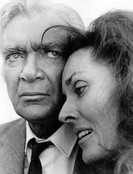 barnaby jones 1973, buddy ebsen, lee meriwether, 1970s tv shows, 1970s television series