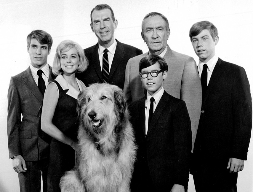 my three sons 1967 cast, fred macmurray, steven douglas, don grady, robbie douglas, stanley livingston, chip douglas, ernie douglas, barry livingston, tina cole, william demarest, uncle charley