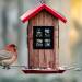 tube bird feeders, tube shaped bird feeders, bird house feeder, wild birds, male house finch, red head bird