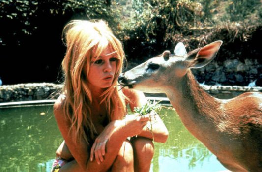 brigitte bardot, french actress, model, animal welfare 