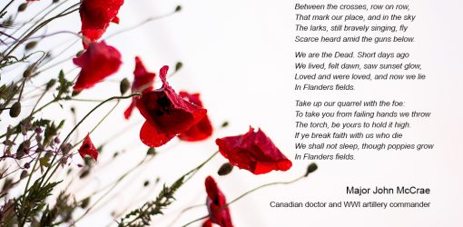 remembrance day, in flanders fields poem, poppies, never forget, lest we forget, do not forget, veterans day