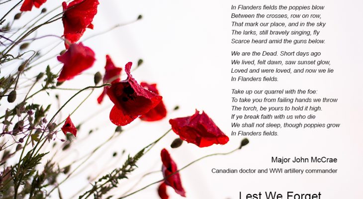 remembrance day, in flanders fields poem, poppies, never forget, lest we forget, do not forget, veterans day