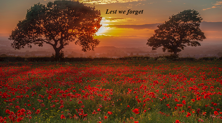 Lest We Forget - In Flanders Field, Poppy Day