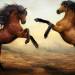 horses, bay stallions, chestnut horses, horses rearing, horses fighting, favorite horse movies, movies for horse lovers
