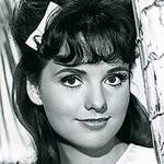 dawn wells birthday, nee dawn elberta wells, dawn wells 1964, american actress, 1960s movies, the new interns, 1960s television series, 1960s tv sitcoms, gilligans island mary ann summers, 1970s movies, the town that dreaded sundown, return to boggy creek, 1970s tv movies, the castaways on gilligans island, rescue from gilligans island, voice actress, 1980s animated series, gilligans planet, voice of ginger grant, 1990s movies, soulmates, lovers knot, 2000s movies, forever for now, silent but deadly, this is our time, 1970s game shows, the new high rollers assistant, octogenarian birthdays, senior citizen birthdays, 60 plus birthdays, 55 plus birthdays, 50 plus birthdays, over age 50 birthdays, age 50 and above birthdays, celebrity birthdays, famous people birthdays, october 18th birthdays, born october 18 1938