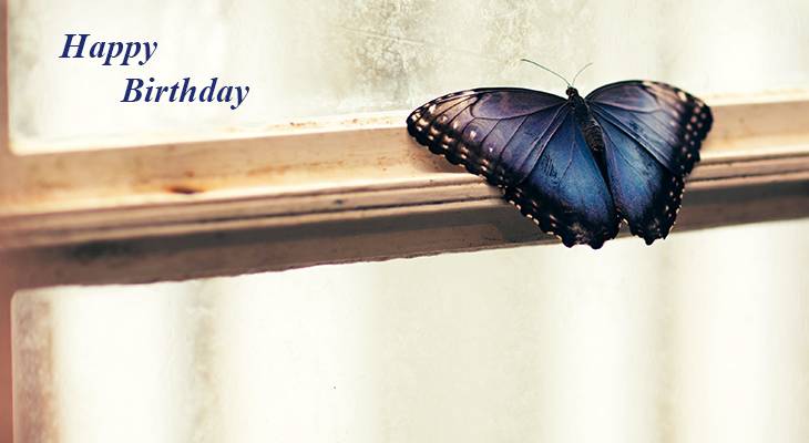 happy birthday wishes, birthday cards, birthday card pictures, famous birthdays, blue, butterfly