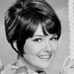 shelley fabares birthday, nee michele ann marie fabaries, shelley fabares 1966, american singer, 1960s hit songs, johnny angel, actress, 1950s movies, never say goodbye, rock pretty baby, summer love, 1950s television series, annette moselle corey, the donna reed show mary stone, 1960s films, ride the wild surf, girl happy, hold on, spinout, elvis presley costar, clambake, a time to sing, 1970s tv shows, the brian keith show dr anne jamison, the practice jenny bedford, forever fernwood eleanor major, highcliffe manor helen straight blacke, hello larry marion alder, fantasy island guest star, 1980s television shows, mork and mindy cathy mcconnell, one day at a time francine webster, murder she wrote liza caspar, 1980s movies, hot pursuit, 1990s films, love or money, 1990s tv series, coach christine armstrong; superman martha kent, married lou adler 1964, divorced lou adler 1980, married mike farrell 1984, niece of nanette fabray, friends annette funicello, septuagenarian birthdays, senior citizen birthdays, 60 plus birthdays, 55 plus birthdays, 50 plus birthdays, over age 50 birthdays, age 50 and above birthdays, generation x birthdays, baby boomer birthdays, zoomer birthdays, celebrity birthdays, famous people birthdays, january 19th birthday, born january 19 1944