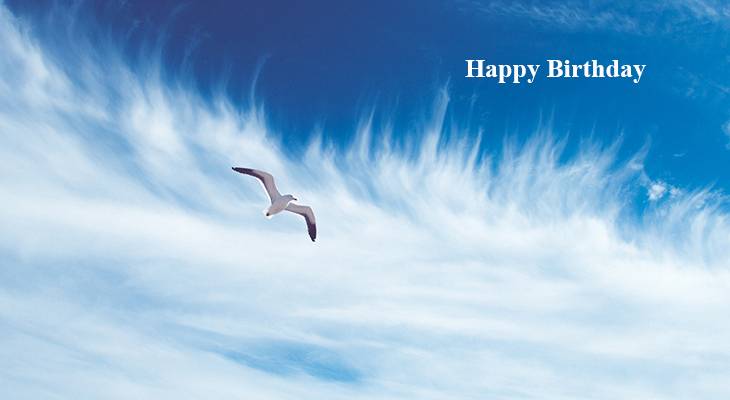 happy birthday wishes, birthday cards, birthday card pictures, famous birthdays, ocean, waves, wild bird, seagull, blue sky