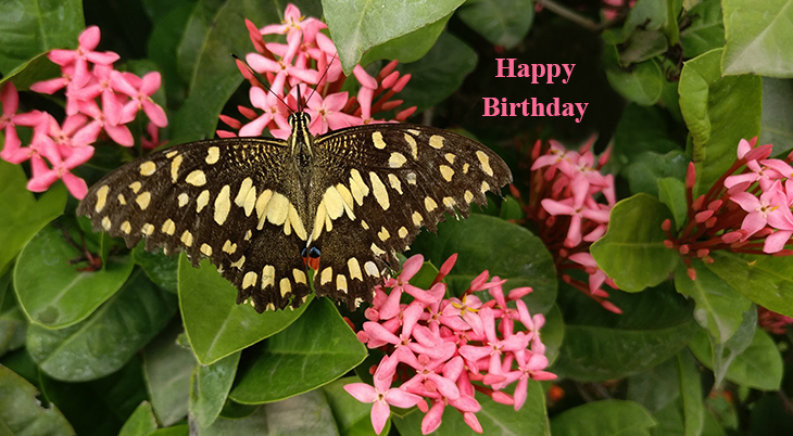 January 26th Birthdays | 50+ World