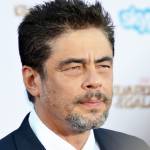 benicio del toro birthday, nee benicio monserrate rafael del toro sanchez, benicio del toro 2014, puerto rican american actor, academy award best actor, 1980s movies, licence to kill, big top pee wee, 1990s television mini series, drug wars the camarena story, 1990s films, china moon, the indian runner, christopher columbus the discovery, money for nothing, golden balls, fearless, swimming with sharks, the usual suspects, basquiat, the fan, the funeral, excess baggage, joyride, fear and loathing in las vegas, 2000s movies, snatch, the way of the gun, traffic, the pledge, the hunted, 21 grams, sin city, things we lost in the fire, che part one, che part two, the wolfman, savages, jimmy p, guardians of the galaxy, escobar paradise lost, inherent vice, a perfect day, sicario, star wars the last jedi, 2000s tv shows, escape at dannemora richard matt, kimberly stewart affair, 50 plus birthdays, over age 50 birthdays, age 50 and above birthdays, generation x birthdays, celebrity birthdays, famous people birthdays, february 19th birthday, born february 19 1966