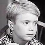 jon provost birthday, nee jonathan bion provost, jon provost 1959, american actor, child actor, 1950s television series, lassie timmy martin, 1950s movies, back from eternity, all mine to give, escapade in japan, 1960s films, lassies great adventure, lassie a christmas tail, this property is condemned, the computer wore tennnis shoes, 1970s movies, the secret of the sacred forest, 1980s tv shows, the new lassie steve mccullough, 2000s films, susies hope, ruth martin friends, senior citizen birthdays, 60 plus birthdays, 55 plus birthdays, 50 plus birthdays, over age 50 birthdays, age 50 and above birthdays, baby boomer birthdays, zoomer birthdays, celebrity birthdays, famous people birthdays, march 12th birthday, born march 12 1950
