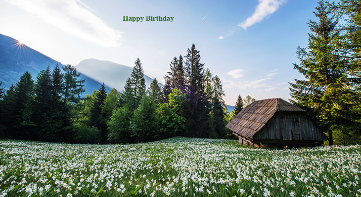 happy birthday wishes, birthday cards, birthday card pictures, famous birthdays, summer, meadow, field, wildflowers, chalet, house, barn, forest, mountains, blue sky