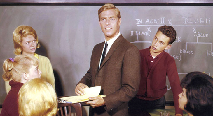 james franciscus 1960s, american actor, 1960s television series, mr novak, high school tv shows