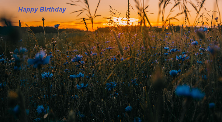 happy birthday wishes, birthday cards, birthday card pictures, famous birthdays, blue flowers, meadow, sunset, wildflowers, sunrise