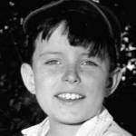 jerry mathers birthday, nee gerald patrick mathers, jerry mathers 1958, 1940s child model, american child actor, 1950s television series, 1950s sitcoms, leave it to beaver theodore beaver cleaver, 1950s movies, this is my love, the trouble with harry, that certain feeling, the shadow on the window, comedies, 1980s films, back to the beach, 1980s sitcoms, 1980s tv shows, the new leave it to beaver theodore cleaver, 1990s movies, down the drain, the other man, playing patti, 2000s films, better luck tomorrow, angels with angles, will to power, brother jim mathers, septuagenarian birthdays, senior citizen birthdays, 60 plus birthdays, 55 plus birthdays, 50 plus birthdays, over age 50 birthdays, age 50 and above birthdays, baby boomer birthdays, zoomer birthdays, celebrity birthdays, famous people birthdays, june 2nd birthdays, born june 2 1948