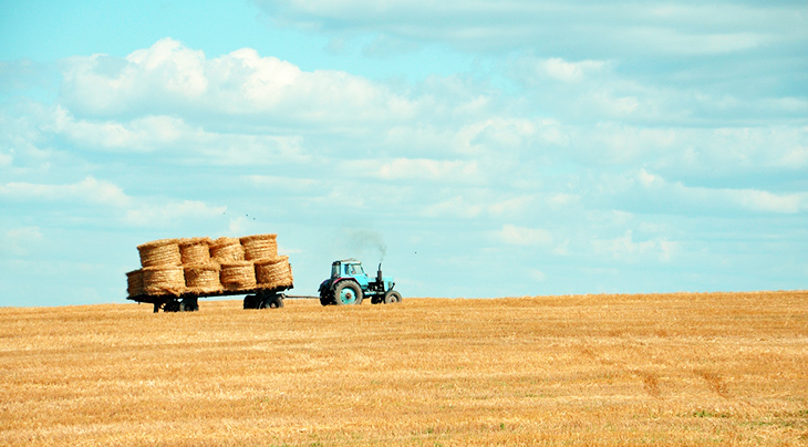 canada day culture, farming, tractor, field of wheat, bales of hay, haybales