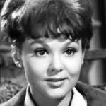 barbara harris 2018 death, barbara harris 1965, retired american actress, 1960s movies, a thousand clowns, plaza suite, oh dad poor dad mammas hung you in the closet and im feelin so sad, 1970s movies, who is harry kellerman and why is he saying those terrible things about me, the war between men and women, mixed company, the manchu eagle murder caper mystery, nashville, family plot, freaky friday, movie movie, the north avenue irregulars, the seduction of joe tynan, 1980s movies, second hand hearts, peggy sue got married, dirty rotten scoundrels, 1990s movies, grosse pointe blank, octogenarian senior citizen deaths, died august 21 2018, 2018 celebrity deaths