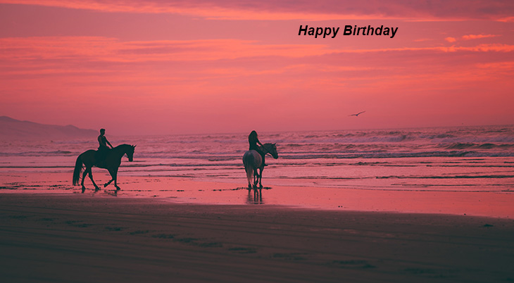 happy birthday wishes, birthday cards, birthday card pictures, horses, animals, beach, sunset, oceano dunes
