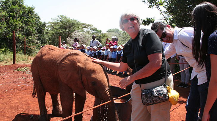 david sheldrake wildlife trust, kenya africa, baby elephants, africa wildlife conservation, elephant sanctuary, student education programs, orphan elephant calves