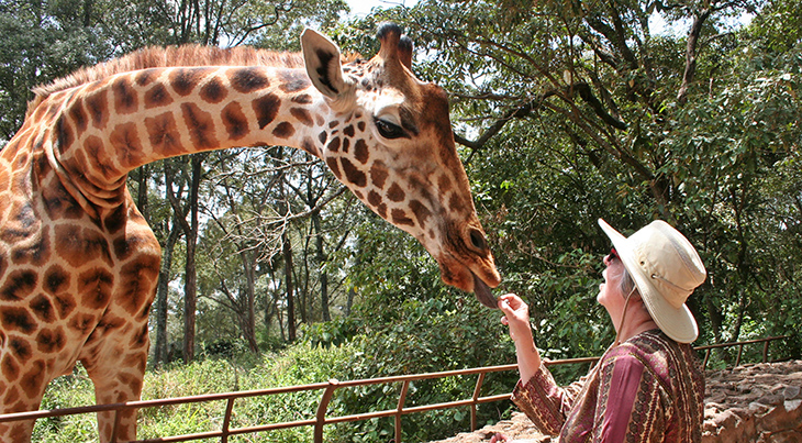 giraffe santuary centre, rothschilds giraffes sanctuary, kenya africa, jock leslie melville giraffe centre, african conservation education programs, feeding giraffes