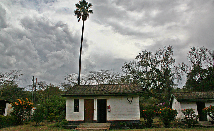 soysambu conservancy, soysambu hostel cabins, kenya africa, volunteering