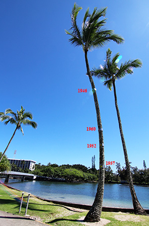 april 1946 hawaii tsunami, april 1946 alaska earthquake, baby boomer history trivia, aleutian islands earthquake, hawaii tidal wave, hilo hawai tsunami photoi, hawaiian islands tsunami, hawaii tidal wave height markers, hawaii tsunami wave heights