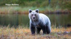 December 7th Birthdays 50+ World