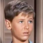 david ladd birthday, david ladd 1960, nee david alan ladd, american 1950s child actor, 1940s movies, the big land, the proud rebel, the sad horse, 1960s films, a dog of flanders, raymie, misty, 1970s movies, rpm, catlow, raw meat, the treasure of jamaica reef, the klansman, the day of the locust, the wild geese, 1980s films, captive, beyond the universe, 1980s movie producer, the serpent and the rainbow, 1990s films, the mod squad, 2000s movies, harts war, a guy thing, leaving barstow, bristol boys, 2010s films, a girl like her, son of actor alan ladd, son of sue carol, brother alan ladd jr, married cheryl stoppelmoor 1973, divorced cheryl ladd 1980, married dey young 1982, divorced dey ladd 2012, father of jordan ladd, septuagenarian birthdays, senior citizen birthdays, 60 plus birthdays, 55 plus birthdays, 50 plus birthdays, over age 50 birthdays, age 50 and above birthdays, baby boomer birthdays, zoomer birthdays, celebrity birthdays, famous people birthdays, february 5th birthday, born february 5 1947