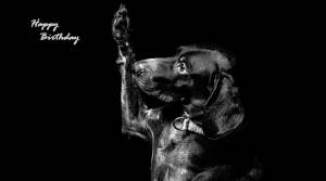 May 2nd Birthdays 50+ World