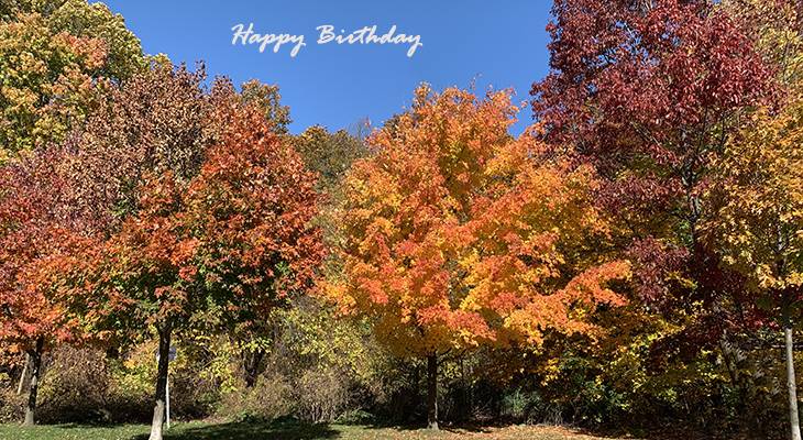 happy birthday wishes, birthday cards, birthday card pictures, famous birthdays, fall colors, autumn leaves, oak trees, maples, forest, hamilton, ontario