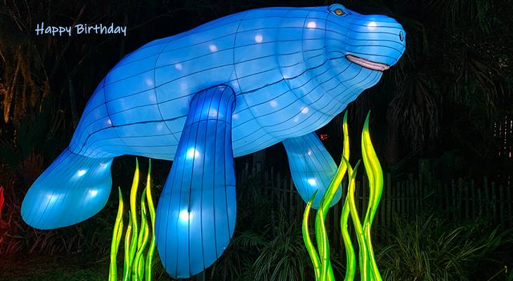 happy birthday wishes, birthday cards, birthday card pictures, famous birthdays, balloon, manatee, florida, seminole county, festival, lights