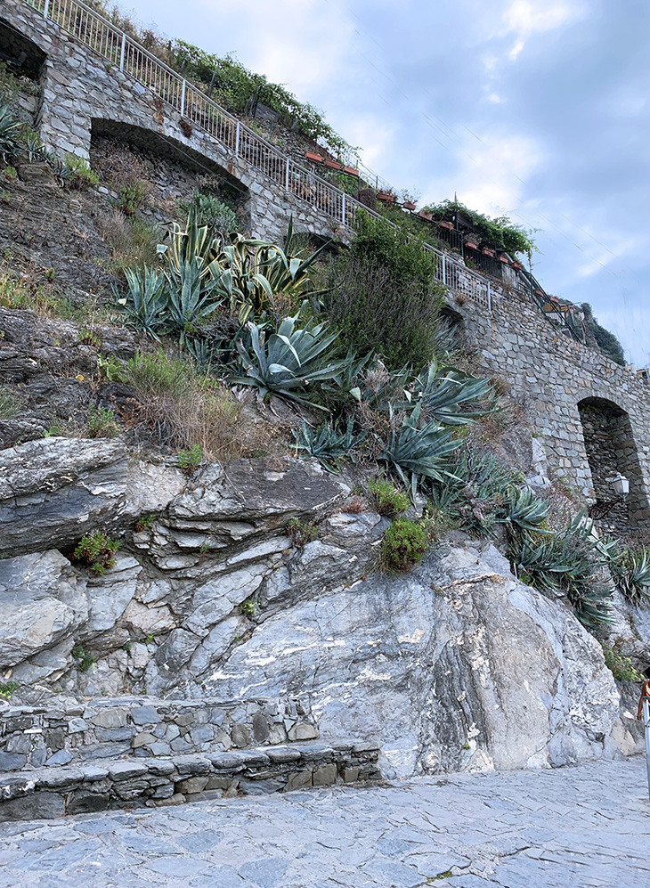 manarola, terraced rock wall, vegetation, yucca, cinque terre, italy, fishing village, unesco world heritage site,
