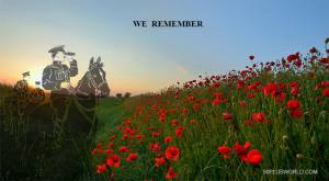 Remembrance and Veterans Day – In Flanders Fields | 50+ World - 50+ World