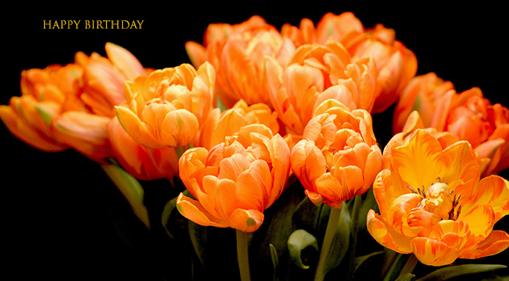 happy birthday wishes, birthday cards, birthday card pictures, famous birthdays, orange, flowers, tulips, spring bulbs