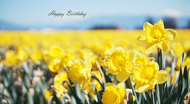 happy birthday wishes, birthday cards, birthday card pictures, famous birthdays, yellow flowers, daffodils, spring bulbs