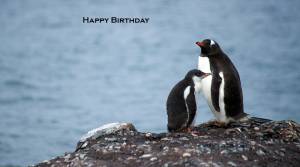 May 2nd Birthdays 50+ World - 50+ World