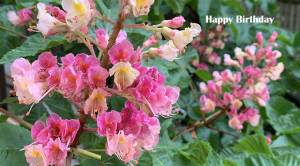 June 5th Birthdays | 50+ World - 50+ World