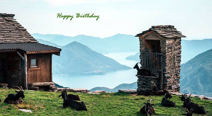 happy birthday wishes, birthday cards, birthday card pictures, famous birthdays, goats, farm animals, ticino, lake maggiore, switzerland